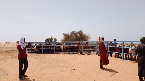 Parc de vaccination de Bourem Djindo